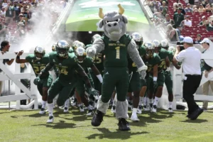 Tampa Bay's local college USF Sport's Team, The USF Bulls